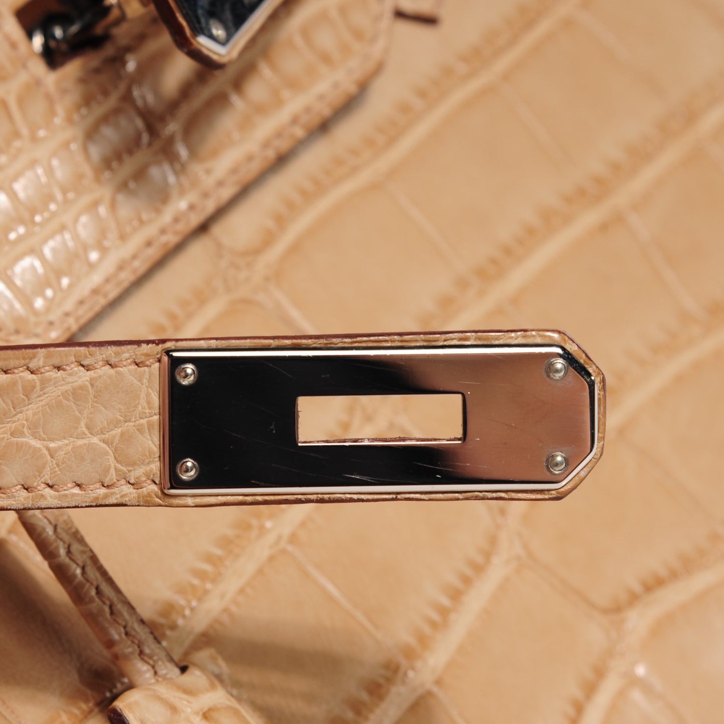 Matte Alligator Birkin 35 Poussiere