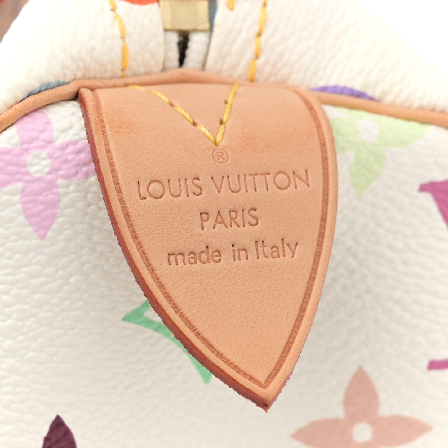 Monogram Multicolor Speedy 30 White