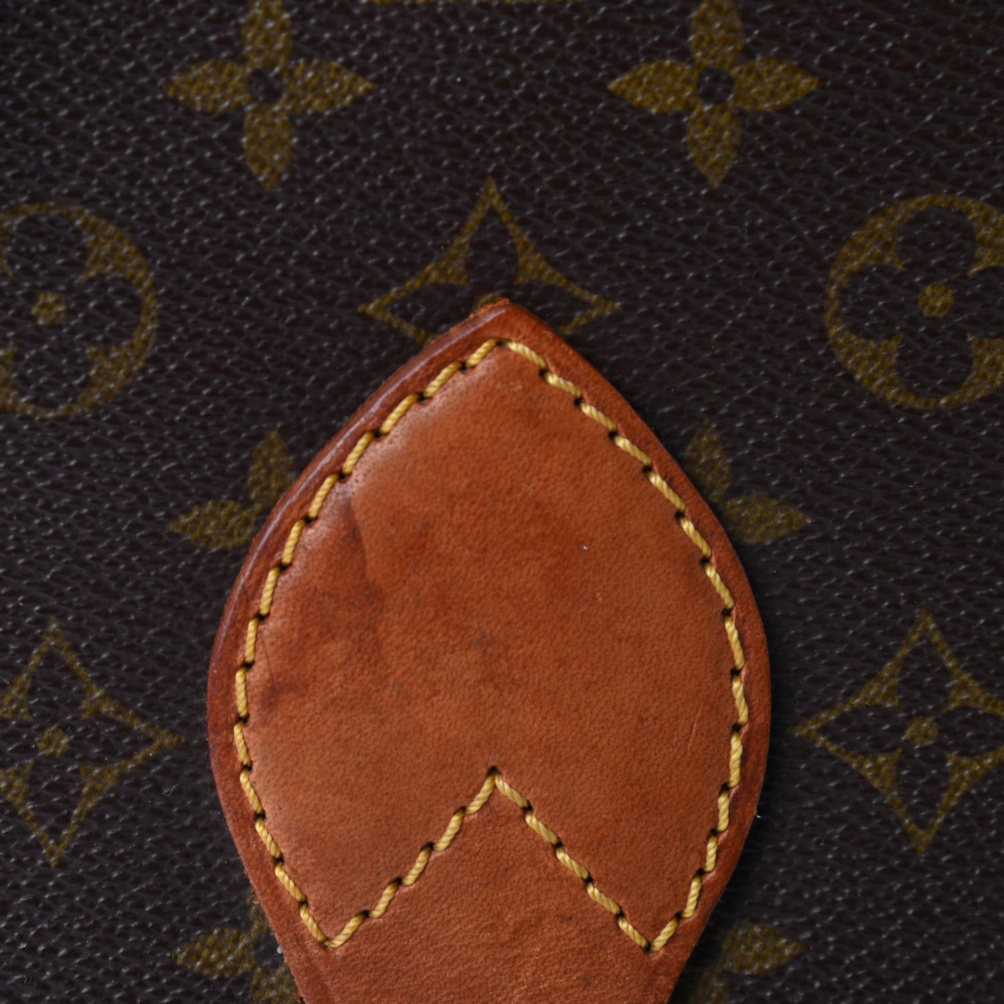 Monogram Cartouchiere 22