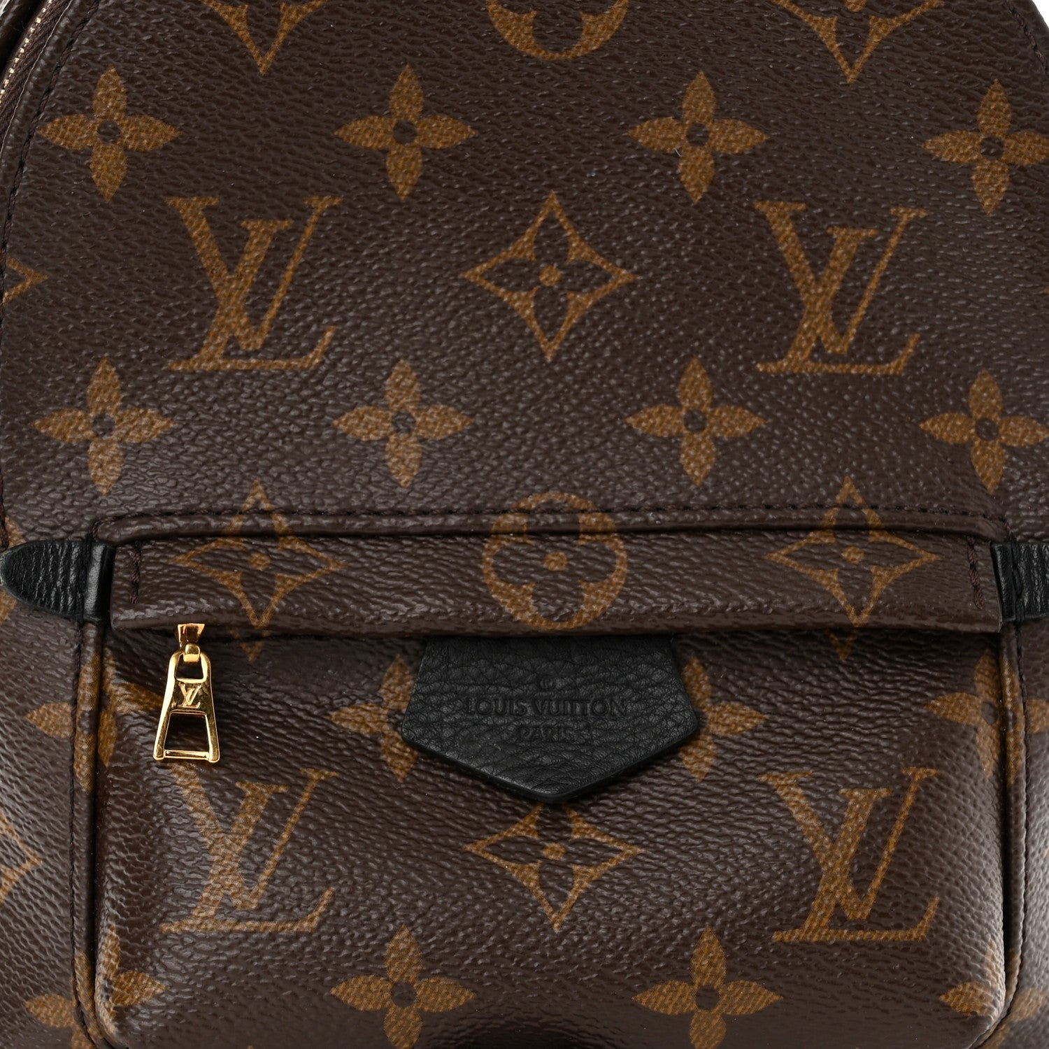 Louis Vuitton Monogram Palm Springs Backpack Mini 7 of 17