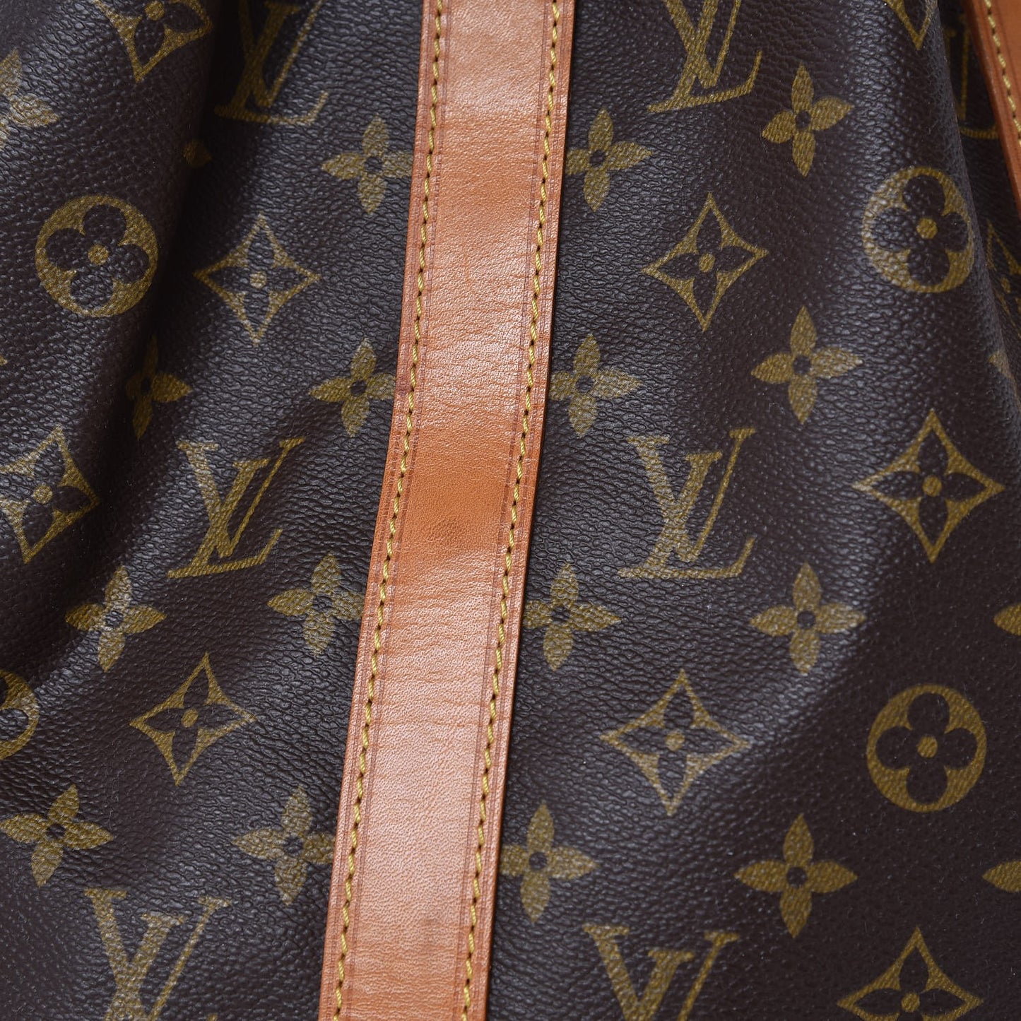 Monogram Randonnee GM Backpack