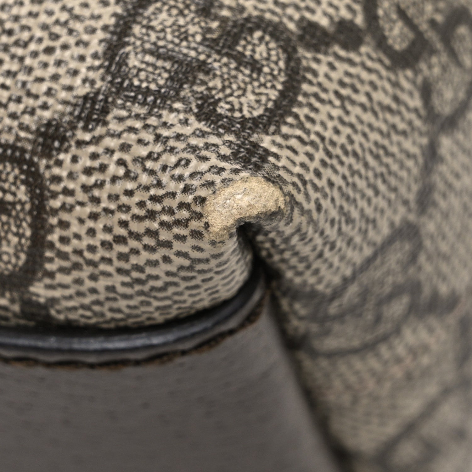Gucci GG Supreme Monogram Textured Dollar Calfskin Web Small Ophidia Dome Shoulder Bag Beige Ebony New Acero 11 of 11