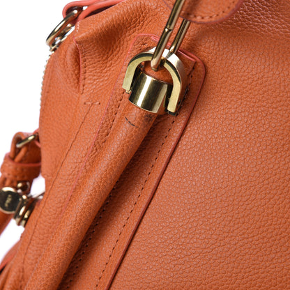 Chloe Calfskin Medium Paraty Indian Summer 10 of 13