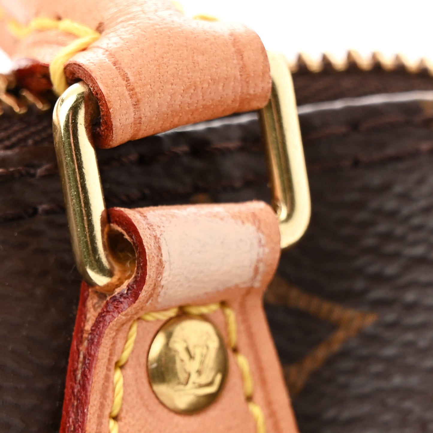 Monogram Nano Speedy