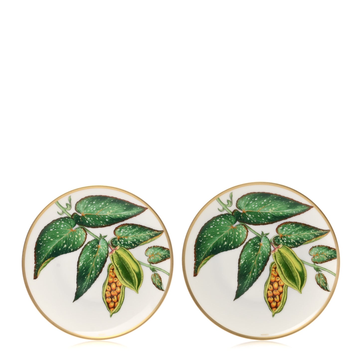 Porcelain Passifolia Bread and Butter Plate Set of 2