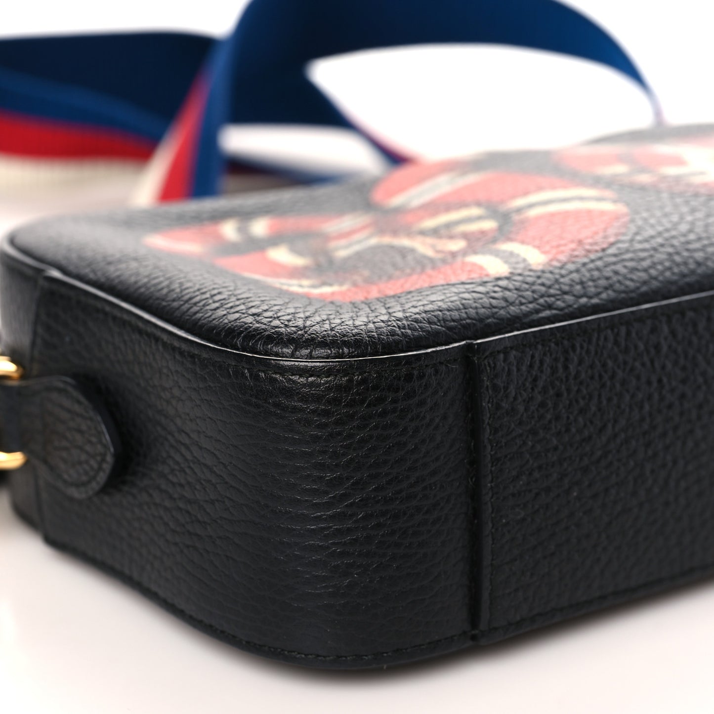 Grained Calfskin Sylvie Web Kingsnake Small Camera Bag Black Multicolor