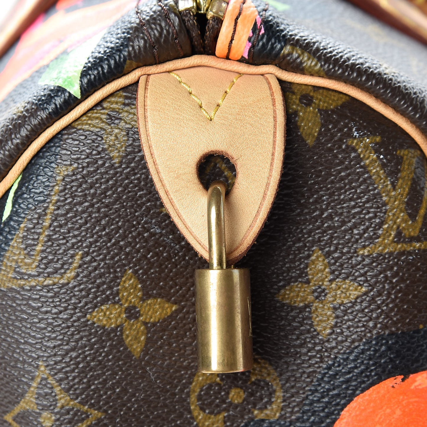 Monogram Roses Speedy 30