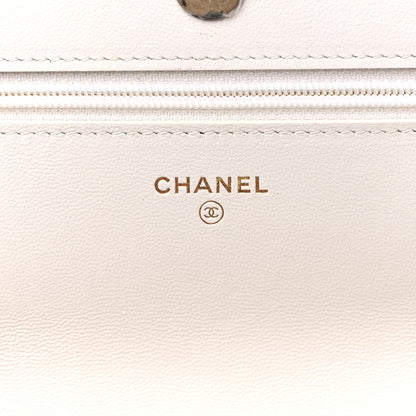 Chanel Goatskin Printed Quilted Chanel 19 Wallet On Chain WOC White Multicolor 6 of 13