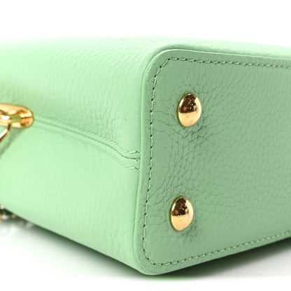 Louis Vuitton Taurillon Mini Capucines Vert Pomme 8 of 9