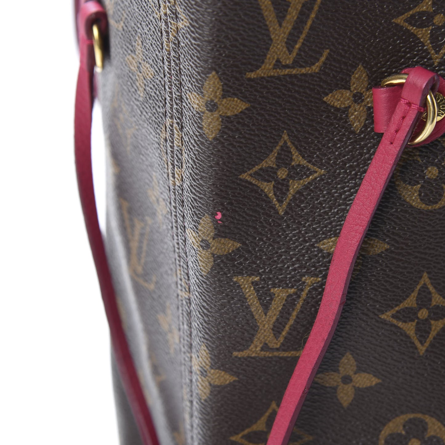 Monogram Articles de Voyage Ikat Neverfull MM Rose Indien