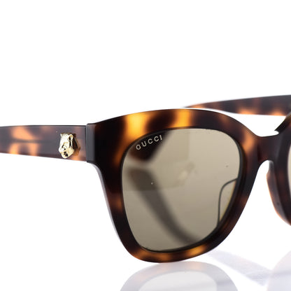 Gucci Acetate Square Frame Sunglasses GG0029S Tortoise 7 of 8
