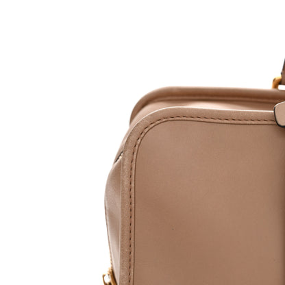 Loewe Calfskin Amazona 36 Mink 17 of 18
