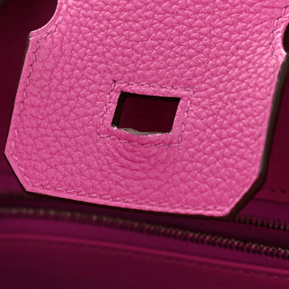 Hermes Togo Birkin 25 Magnolia 8 of 13