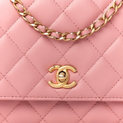 Chanel Lambskin Quilted CC Pearl Crush Wallet on Chain WOC Pink 12 of 15
