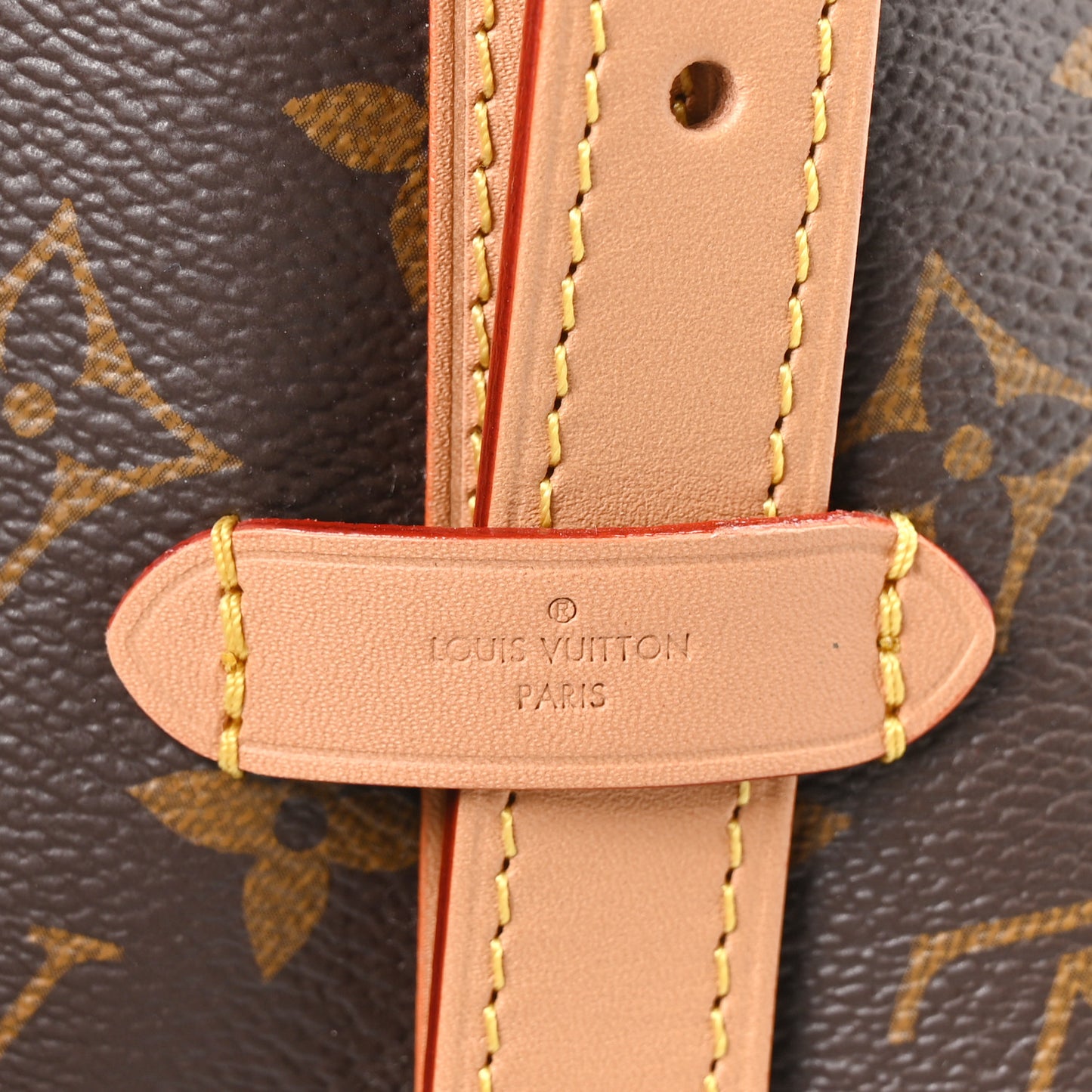 Monogram Carryall PM