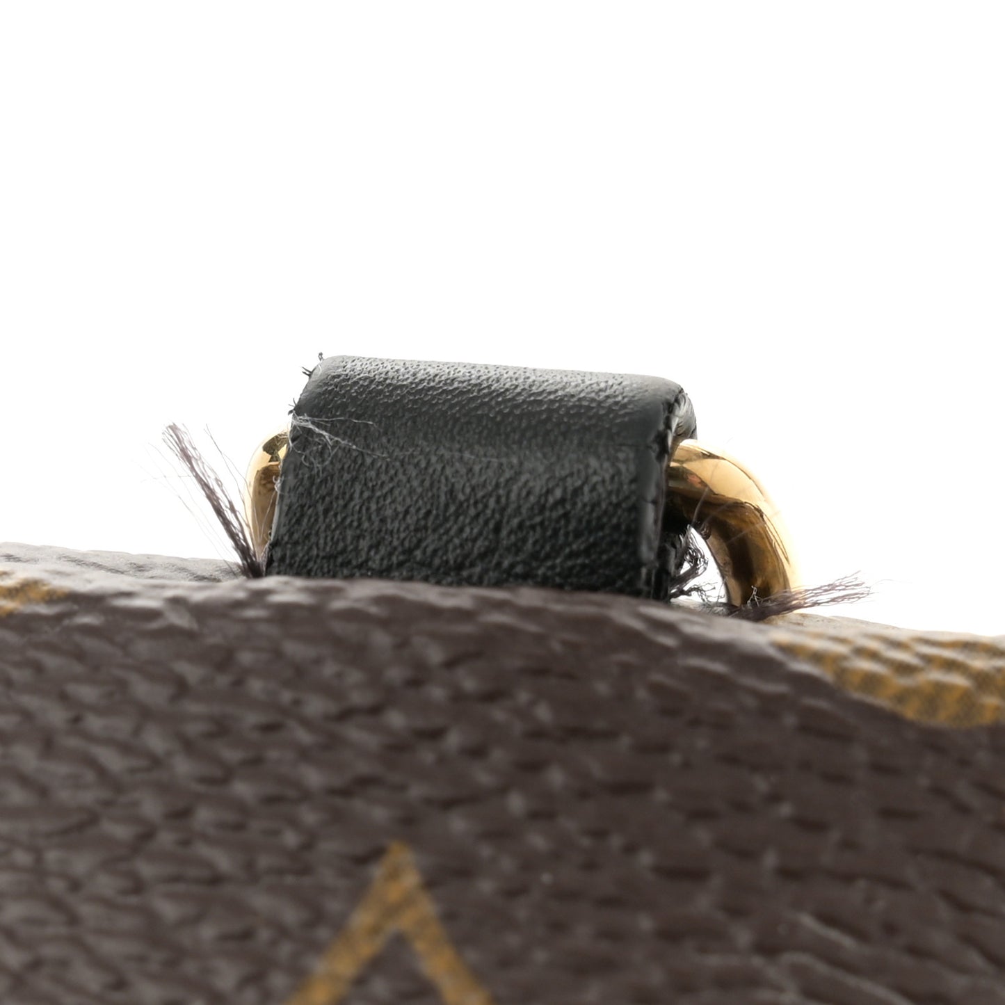 Monogram Palm Springs Backpack Mini
