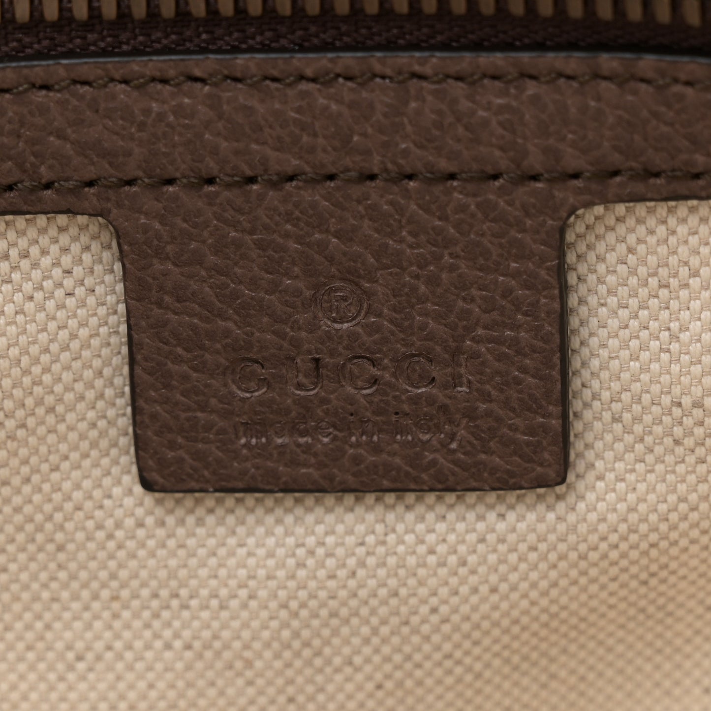 GG Supreme Monogram Web Small Ophidia Half Moon Hobo Brown
