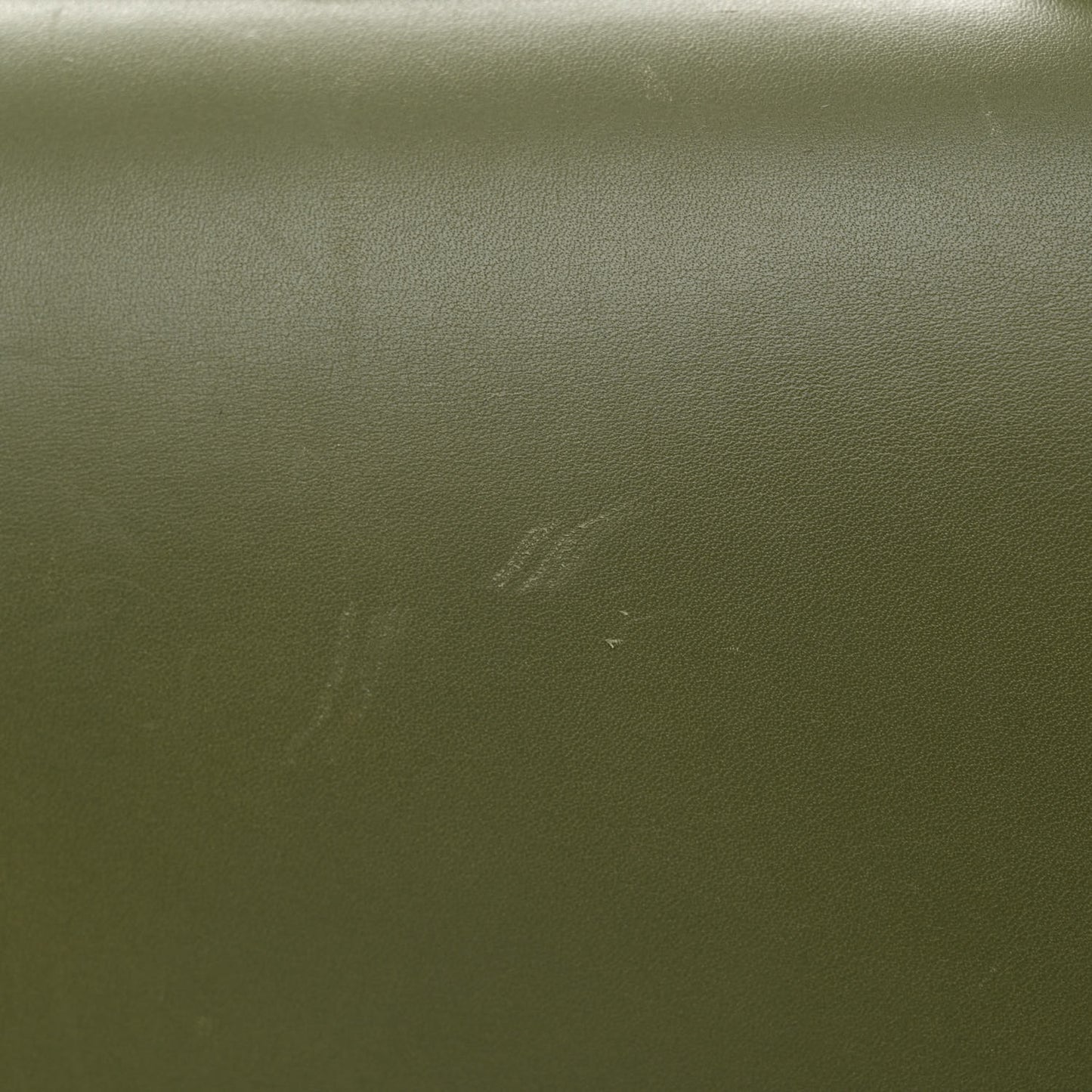 Silk Calfskin Goya Bag Avocado