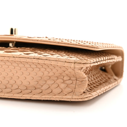 Chanel Snakeskin Wallet On Chain WOC Beige 11 of 11