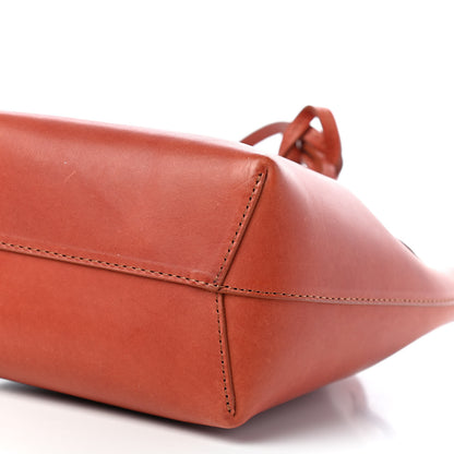 Mansur Gavriel Calfskin Mini Bucket Bag Brandy 7 of 7