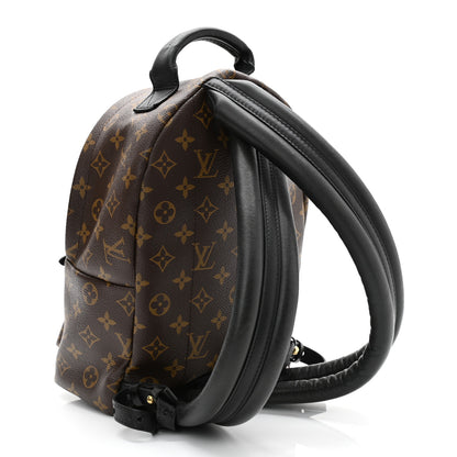 Louis Vuitton Monogram Palm Springs Backpack PM 5 of 23