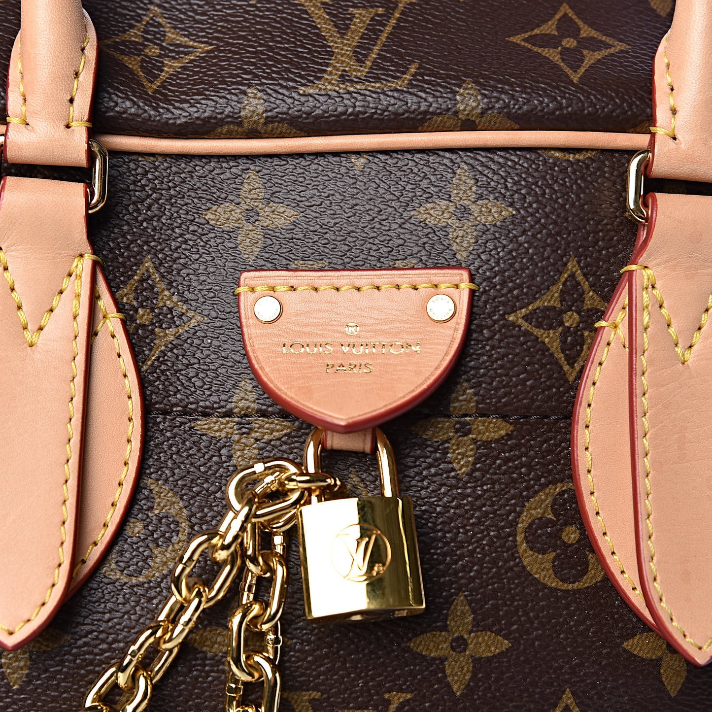 Monogram Carry All MM