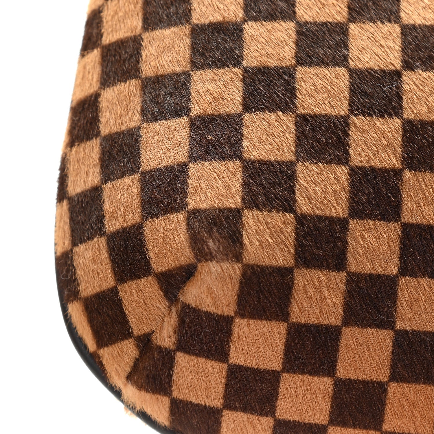 Louis Vuitton Calf Hair Damier Sauvage Tigre 9 of 10