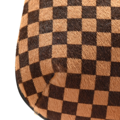 Louis Vuitton Calf Hair Damier Sauvage Tigre 9 of 10