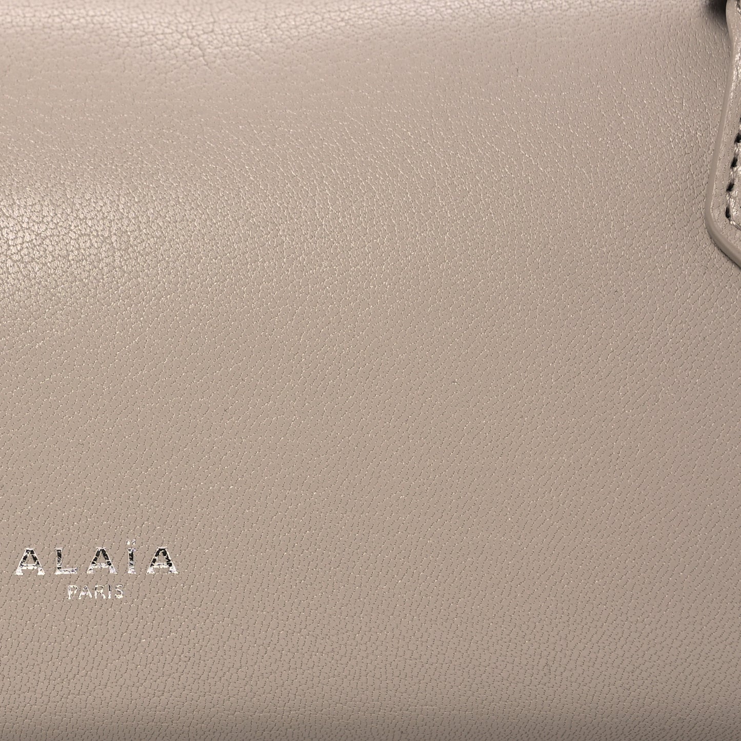 Goatskin Medium Le Teckel Bag Grege