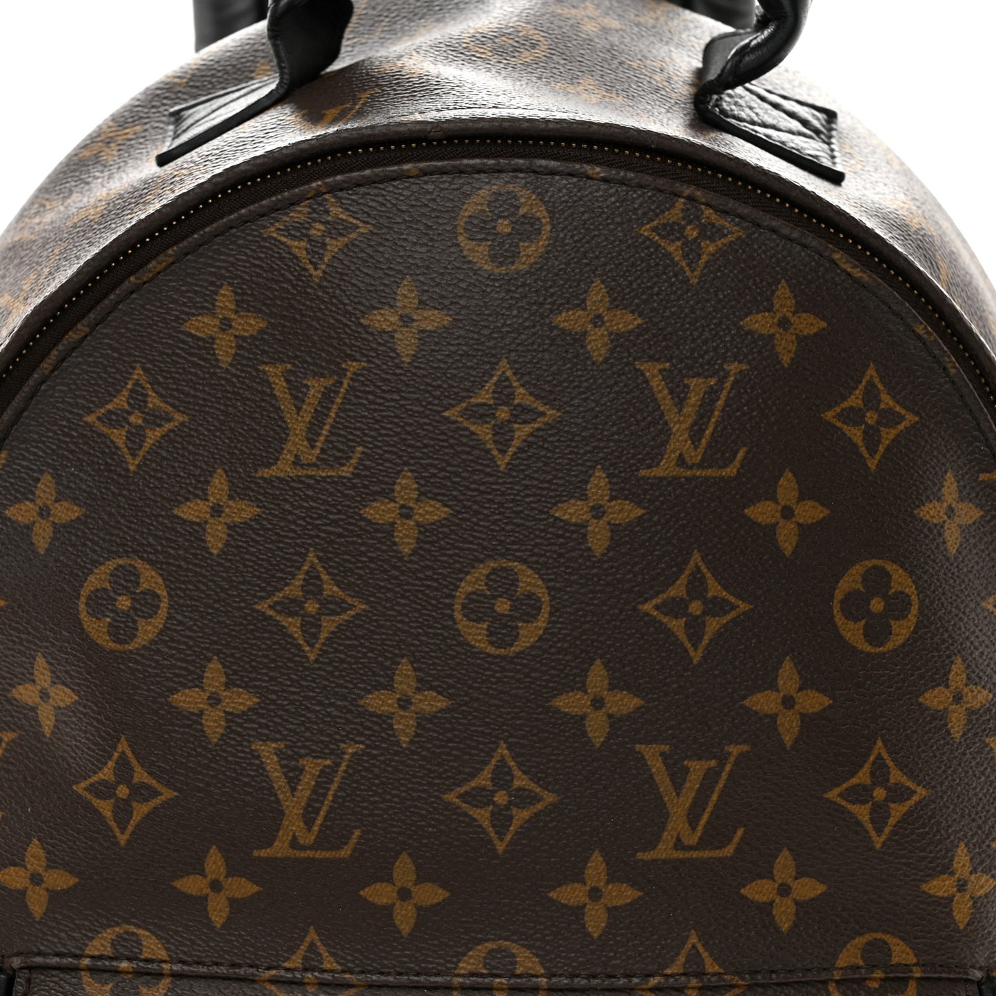 Monogram Palm Springs Backpack MM