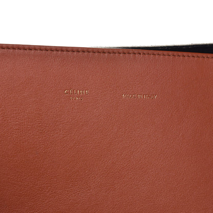 Celine Shiny Smooth Calfskin Felt Zebra Printed Small Twisted Cabas Chalk Brick 6 of 11