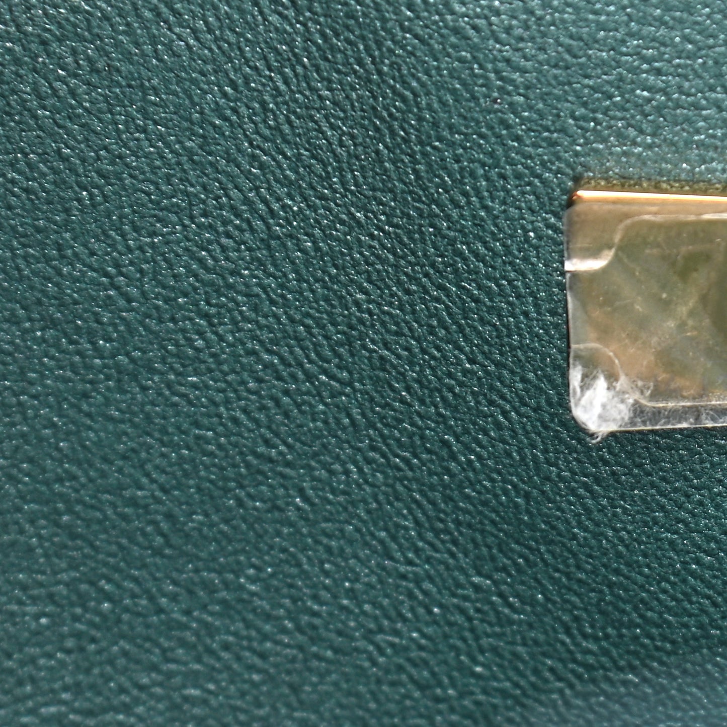 Iridescent Caviar Quilted Medium Double Flap Green