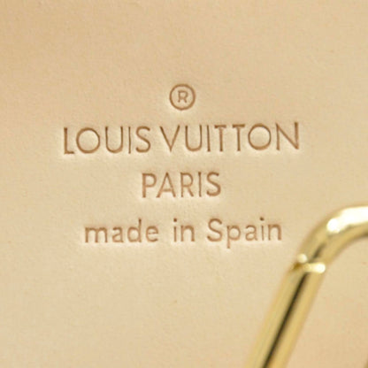 Louis Vuitton Vinyl Cabas Ambre PM 8 of 10