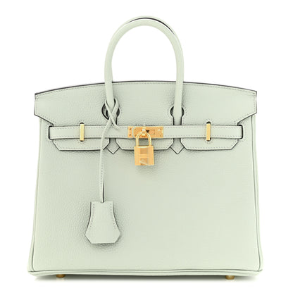 Hermes Togo Birkin 25 Gris Neve 1 of 11