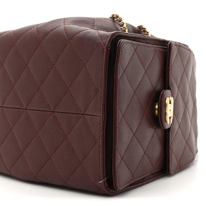 Chanel Caviar Quilted Medium Chanel 25 Handbag Burgundy 10 of 11