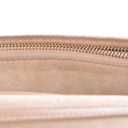 Christian Dior Grained Calfskin Diorama Wallet on Chain Pouch Nude 9 of 17
