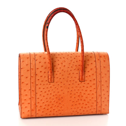 Hermes Ostrich Drag 32 Orange 3 of 20