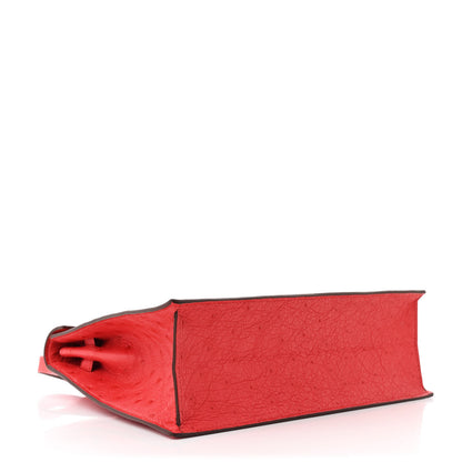 Hermes Ostrich Kelly Danse II Belt Bag Rouge Vif 4 of 13