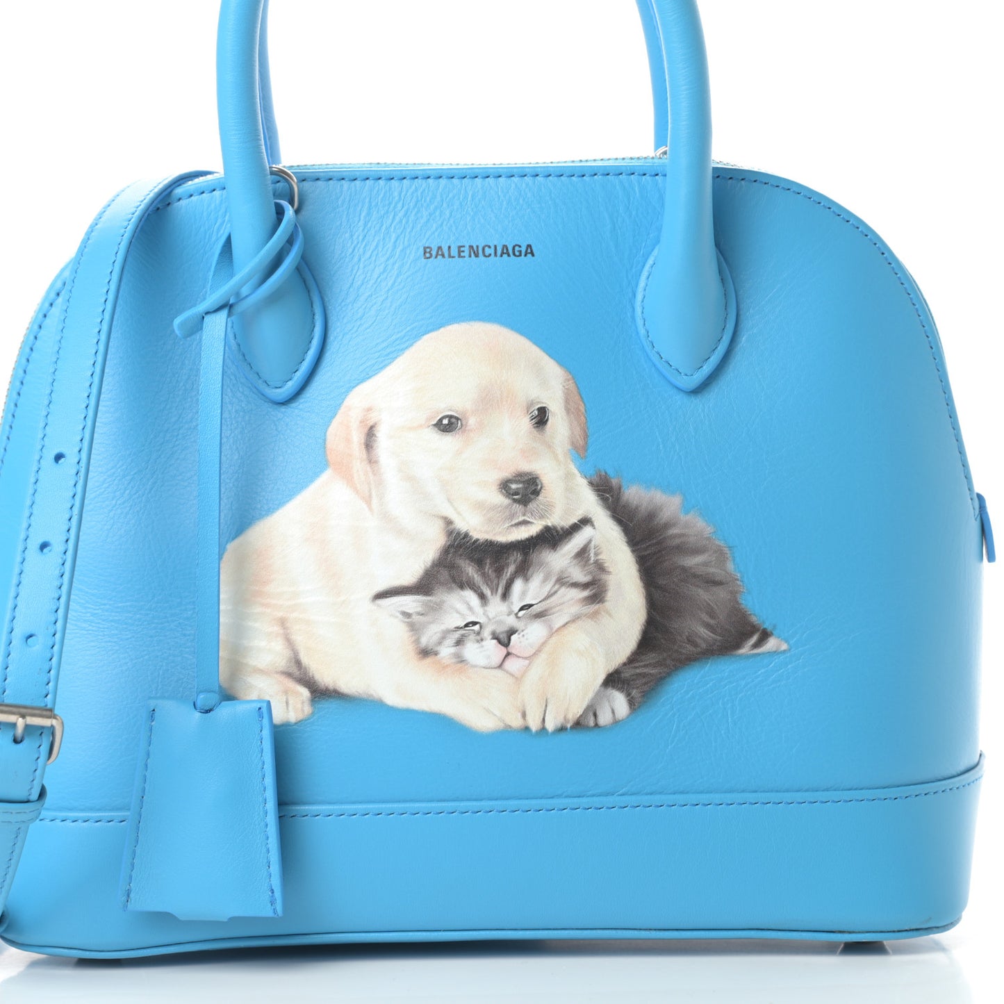 Soft Calfskin Puppy And Kitten S Ville Top Handle Bag Bleu Turquoise