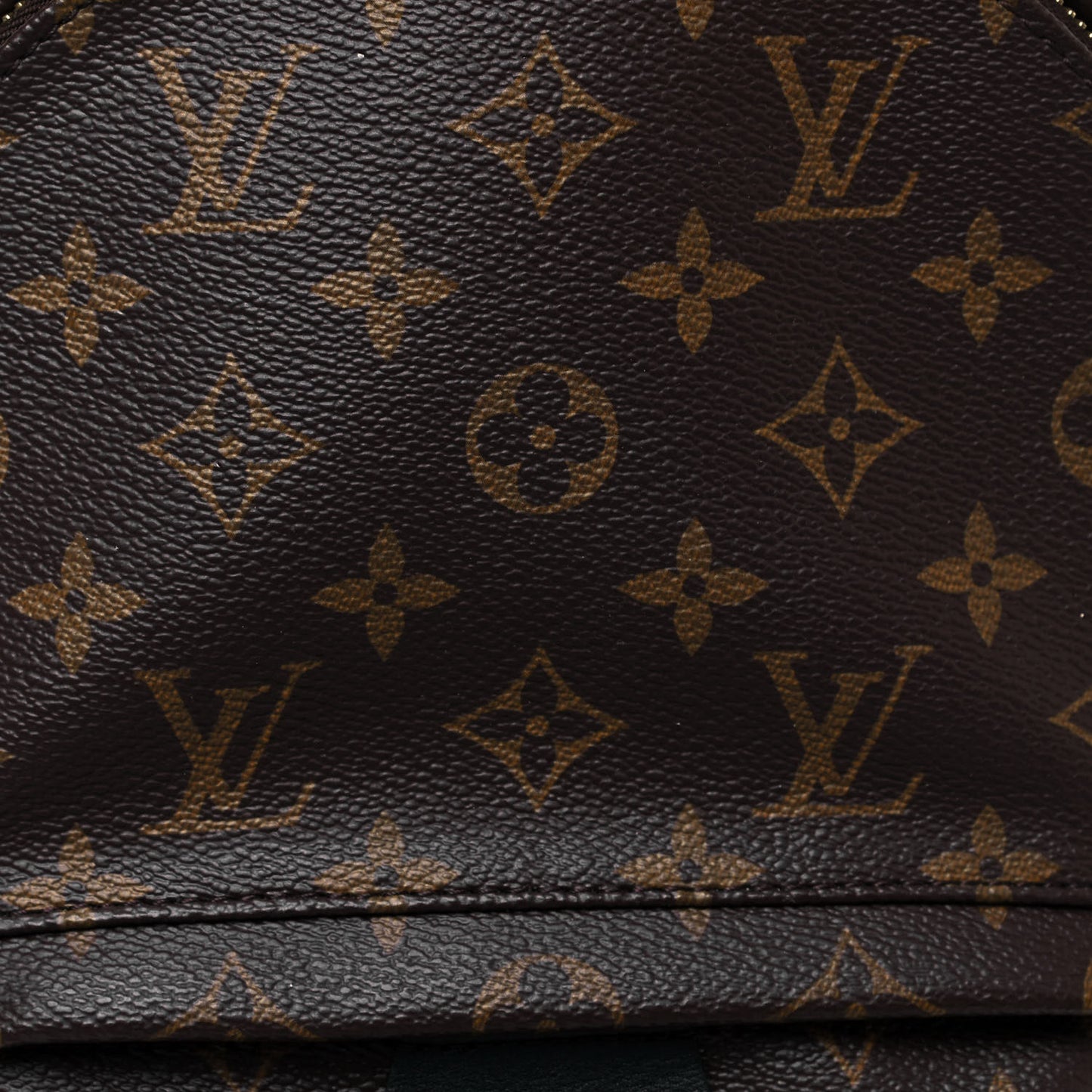 Monogram Palm Springs Backpack PM