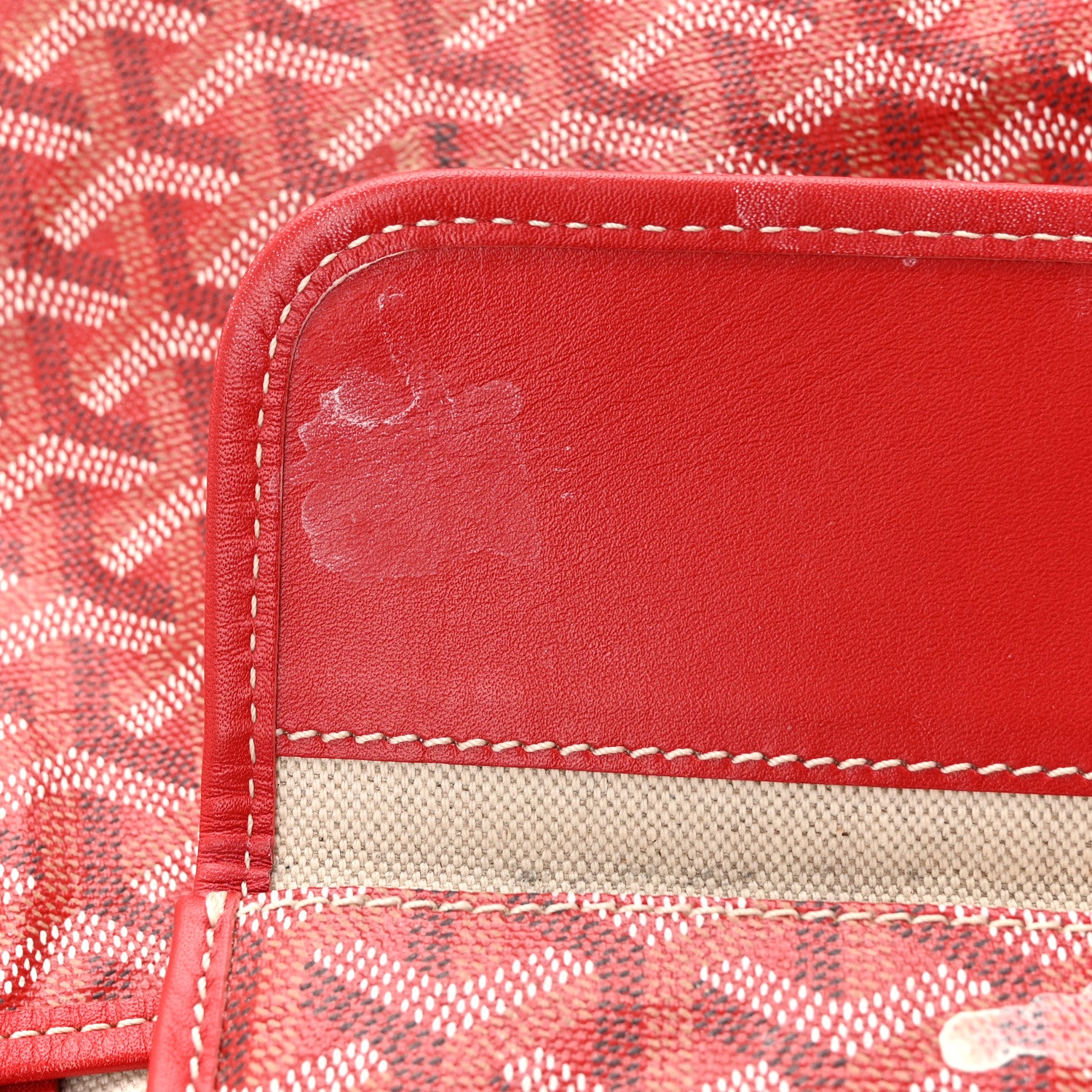 Goyard Goyardine Saint Louis PM Red 18 of 19