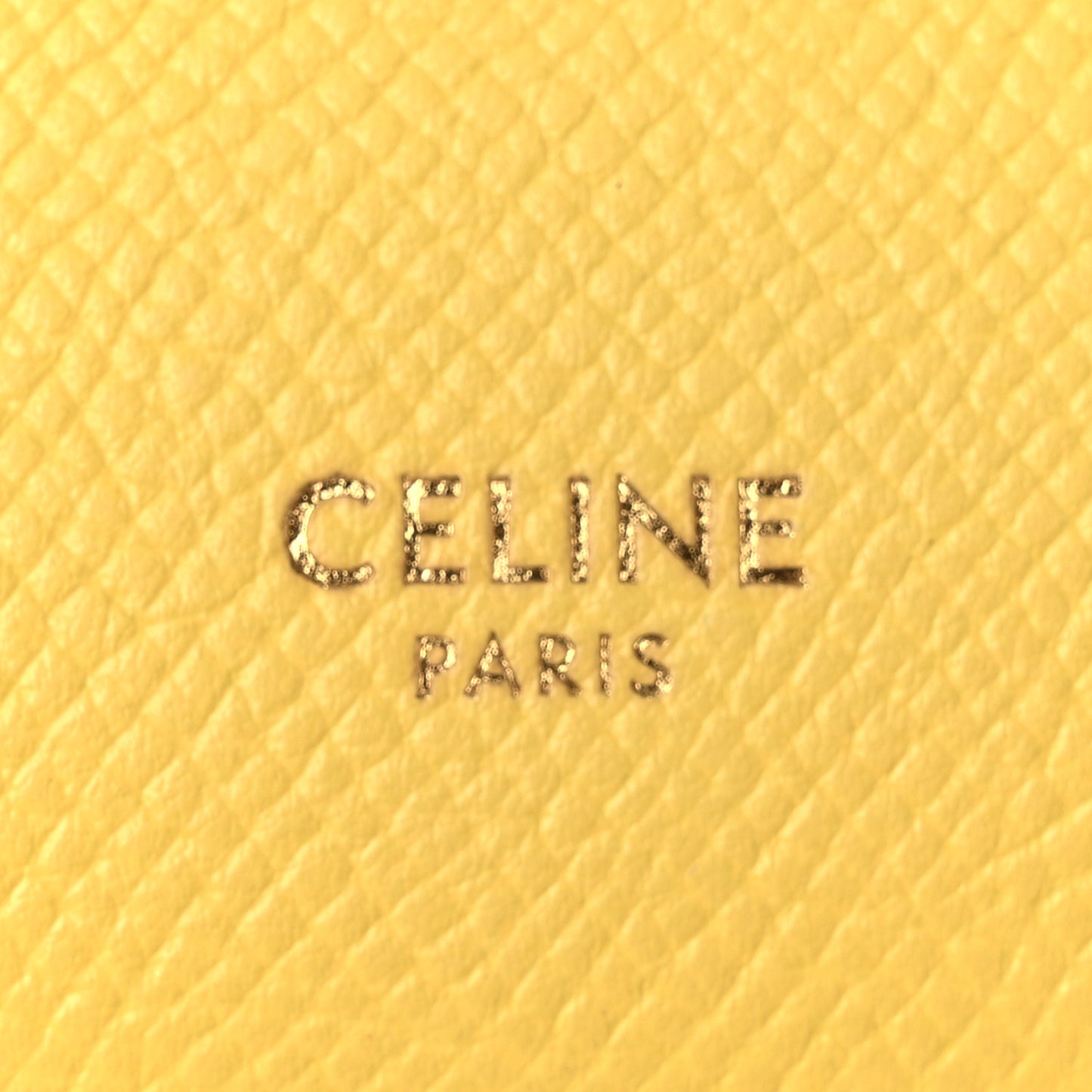 Grained Calfskin Nano Belt Bag Citrus