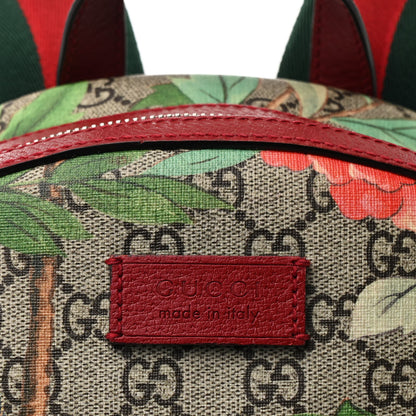 Gucci GG Supreme Monogram Tian Web Small Day Backpack Beige Multicolor Red 8 of 12