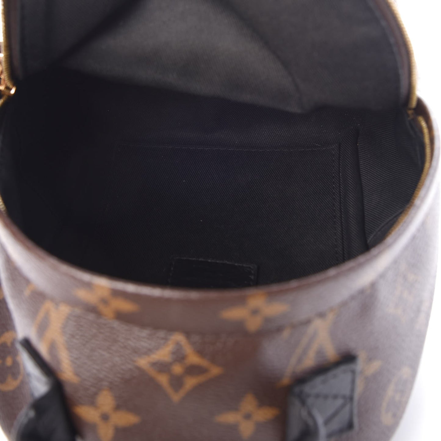 Monogram Palm Springs Backpack Mini