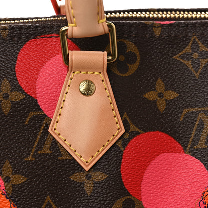 Louis Vuitton Monogram Ramages Speedy 30 Grenade 10 of 10