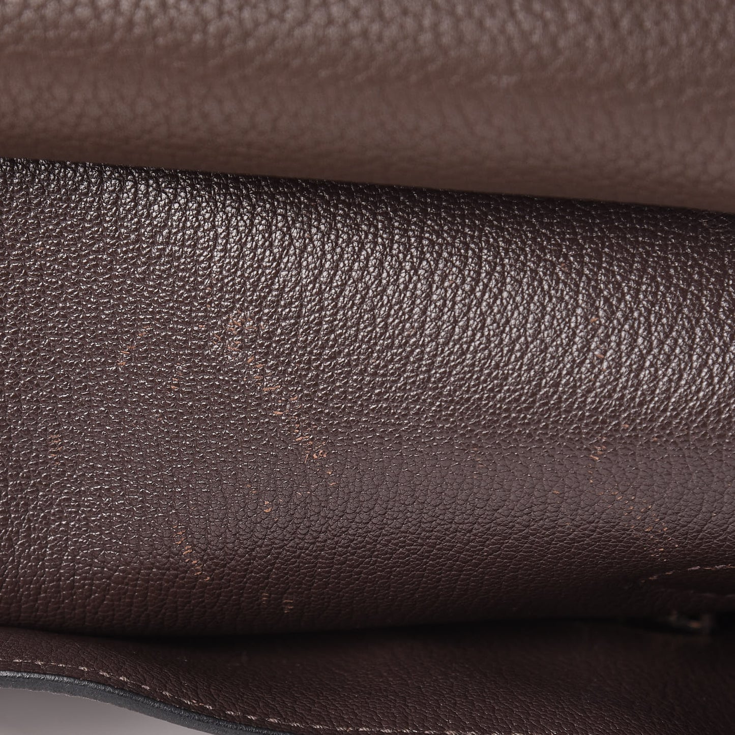 Taurillon Clemence Jypsiere 34 Chocolate