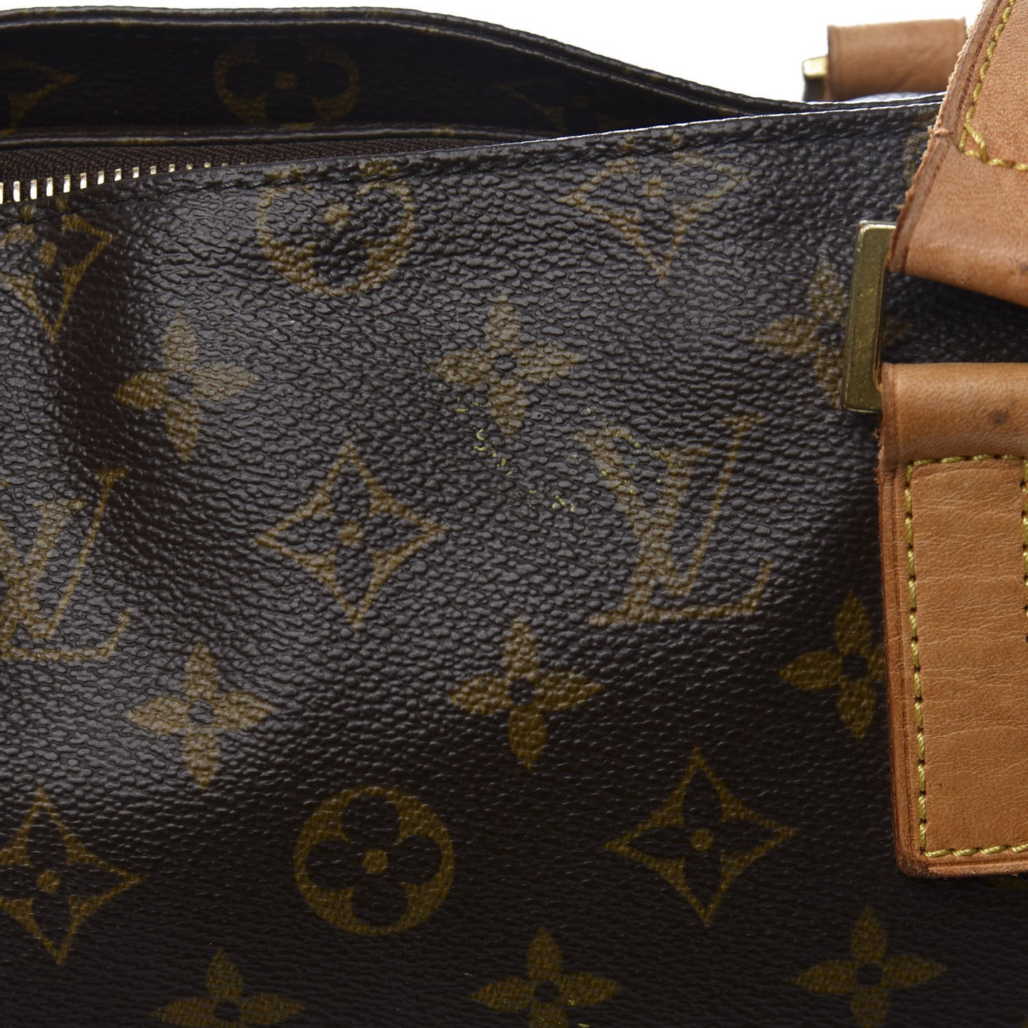 Monogram Cabas Mezzo