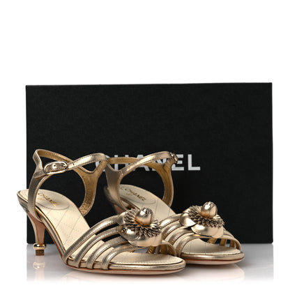 Chanel Metallic Lambskin Camellia Sandals 37.5 Gold 13 of 13