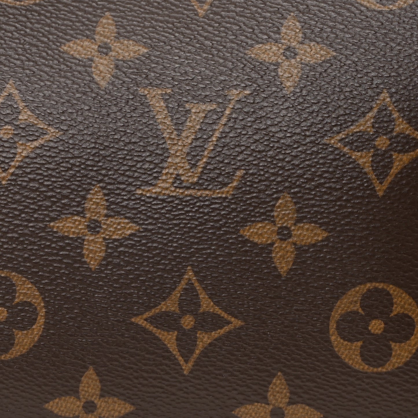 Monogram Carryall PM