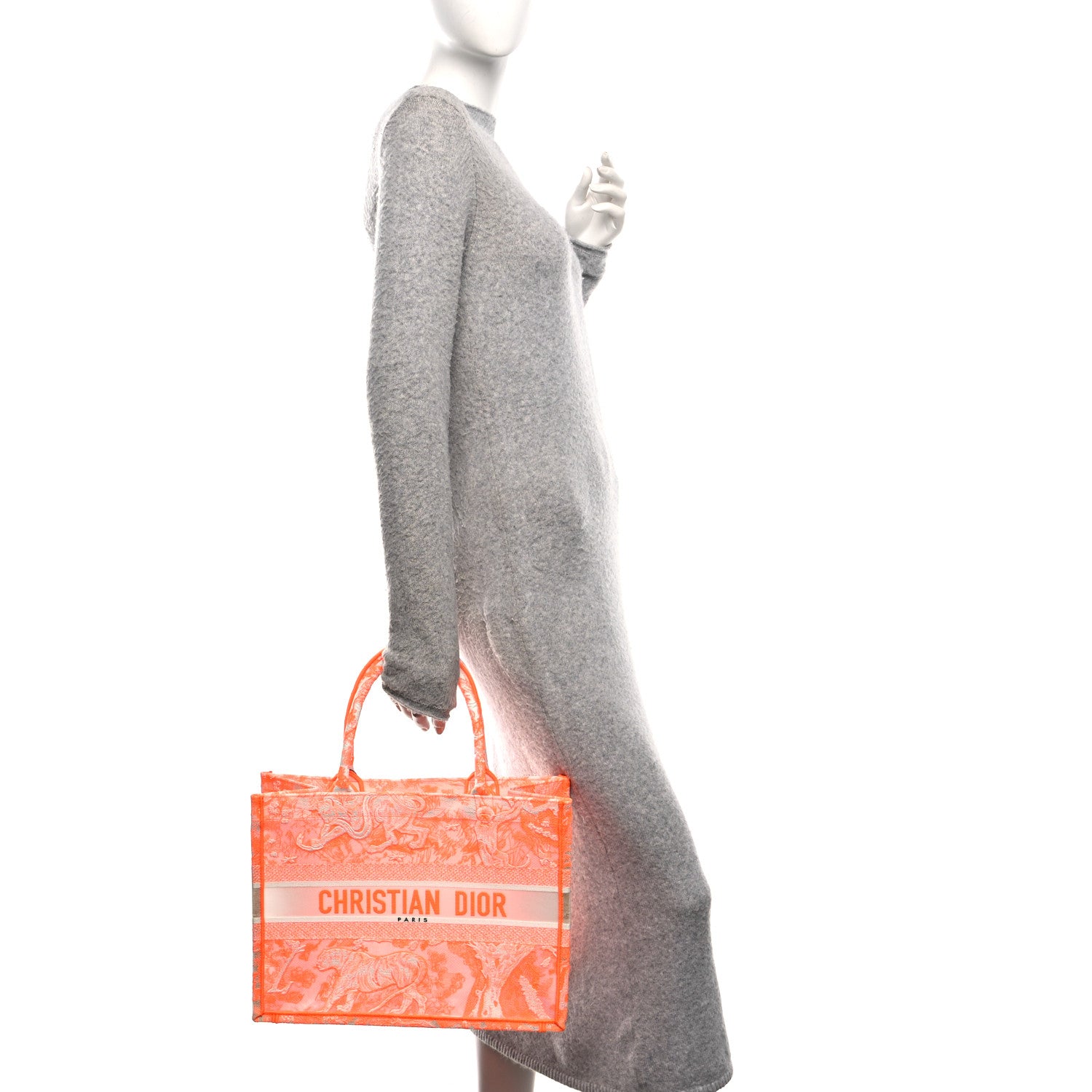Christian Dior Transparent Canvas Embroidered Medium Dioriviera